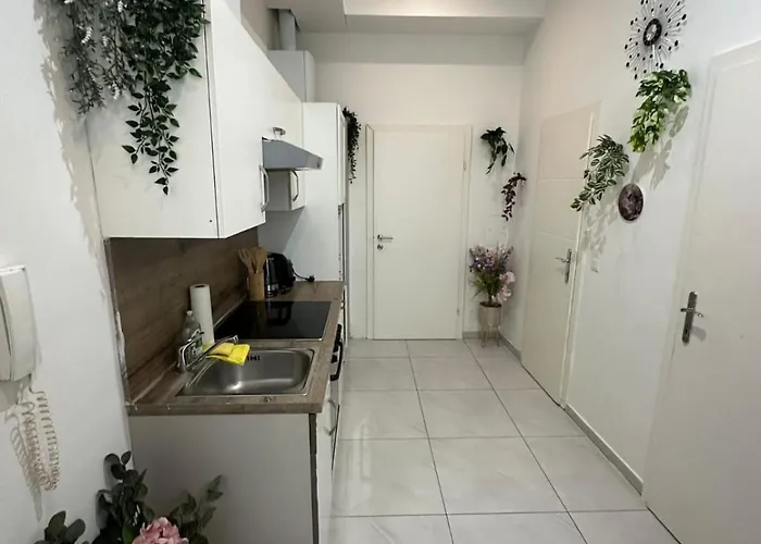 2 Naehe Prater Apartament